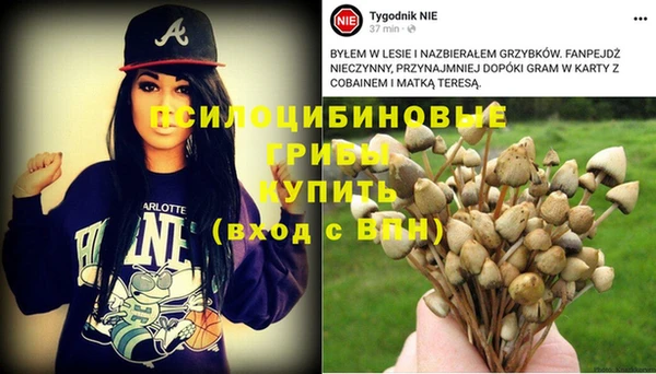 дурь Рославль