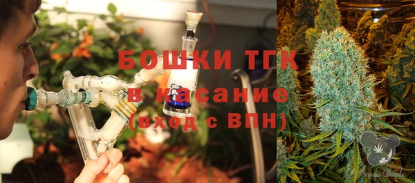 соль ск Алзамай