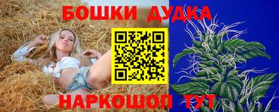 гидра Ачхой-Мартан