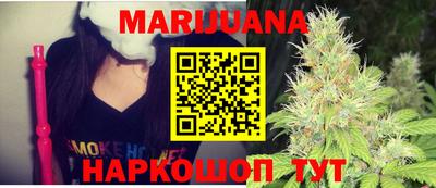гидра Ачхой-Мартан