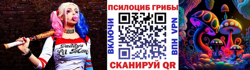Псилоцибиновые грибы Cubensis  мориарти клад  Большой Камень 