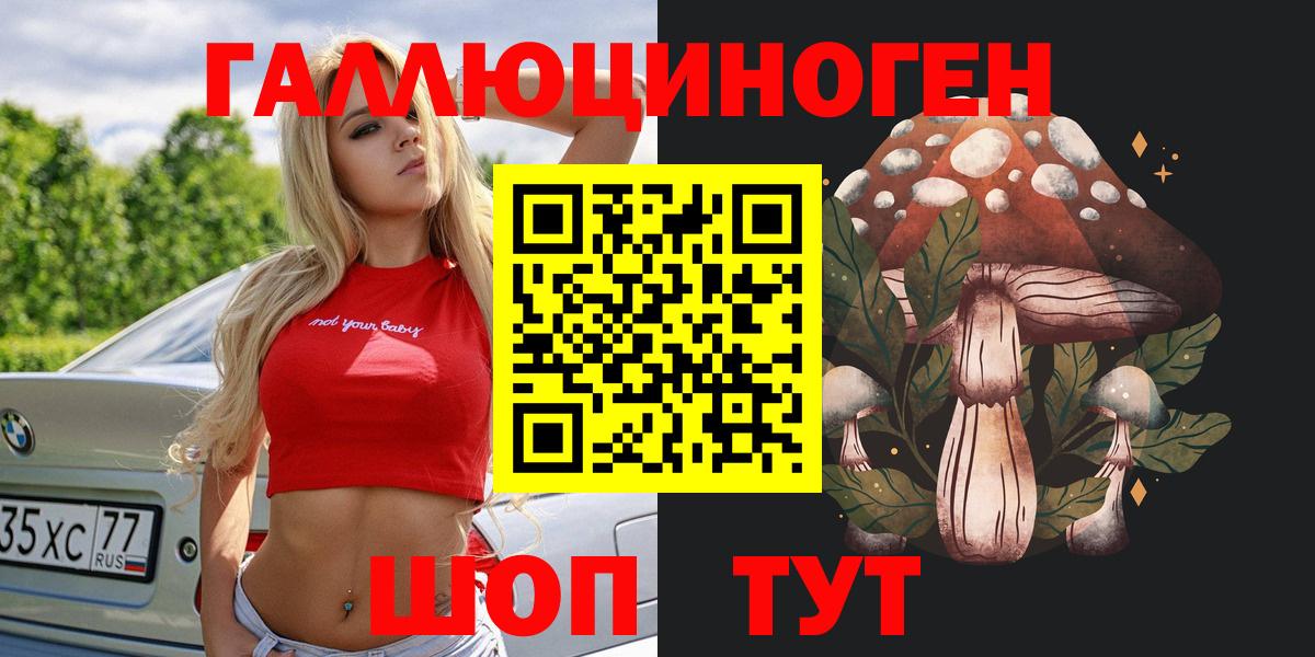 Галлюциногенные грибы прущие грибы  Вход с VPN  Большой Камень 