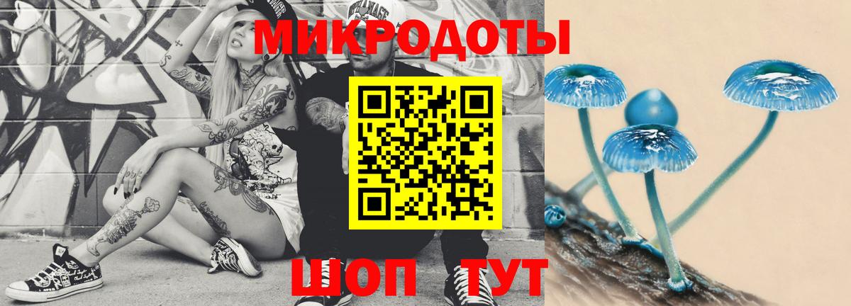 Галлюциногенные грибы GOLDEN TEACHER Большой Камень