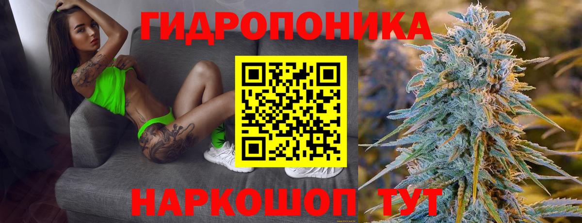Большой Камень  МАРИХУАНА Amnesia  Вход с VPN  Канабис White Widow  Конопля марихуана  Канабис тримм 